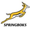 Springboks d'Afrique du Sud