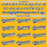 Maillot de baseball personnalisé Royal-White Gold Authentic Maillot de baseball personnalisé Royal-White Gold Authentic